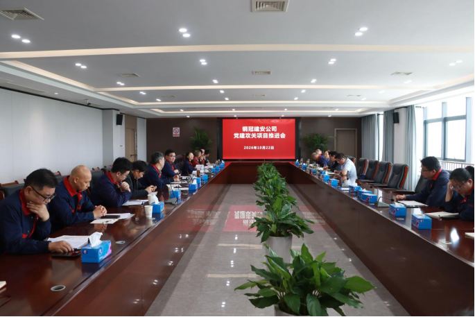 公司召开党建攻关项目推进会499